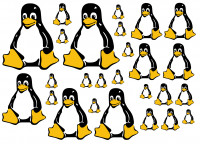 Maxi-Sticker - Pinguin A4 Nr.2