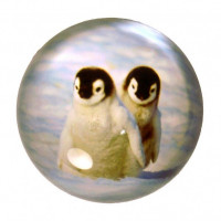 Pinguin Briefbeschwerer Pinguin Briefbeschwerer