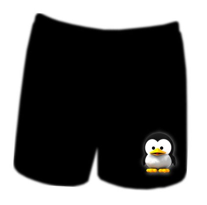 Boxershorts - Baby Tux